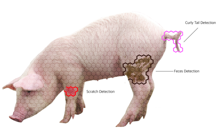 Leveraging AI to detect tail changes earlier than a farmer.PNG